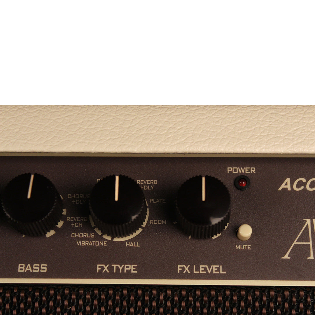Cort AF150 Acoustic Guitar Amplifier